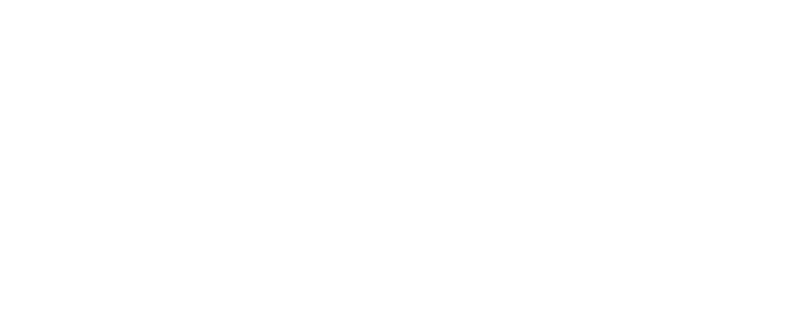 Logo IDIS negativo