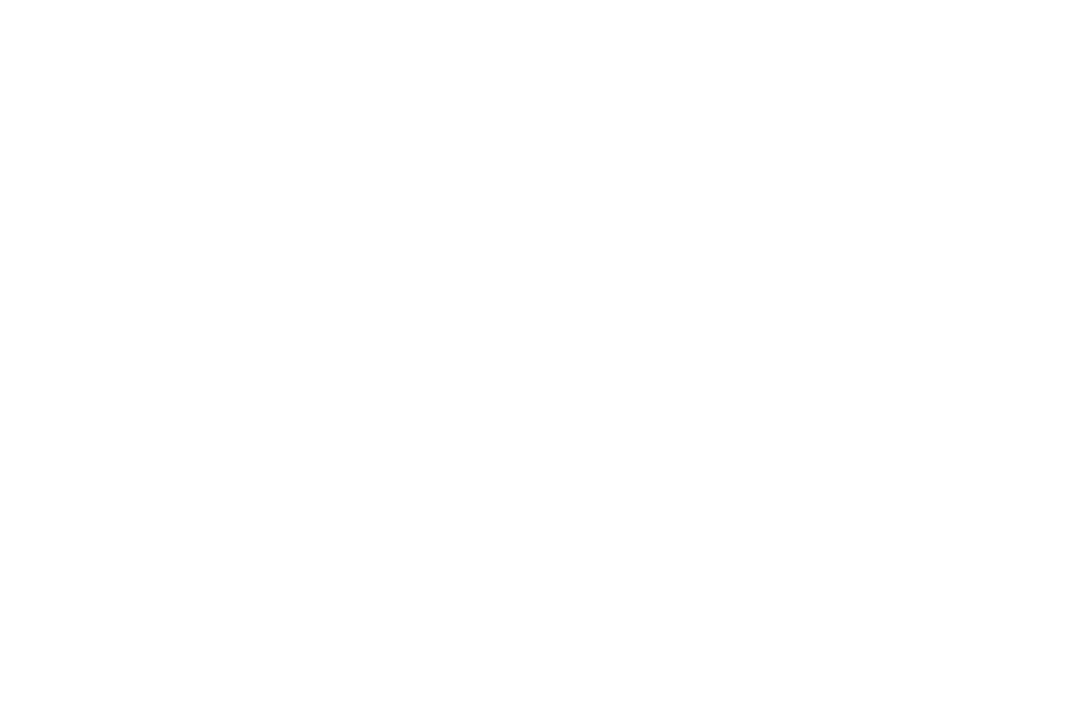 Logo Betty e Jacob Lafer negativo